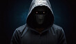 © Xabi - Computer hacker in hoodie. Obscured dark face. Data thief, internet fraud, darknet and cyber security concept