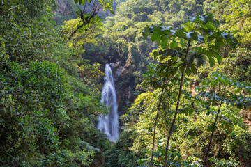 Canvas Print - Waterfall in Bolivia