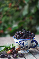 Wall Mural -  mulberry in a cup