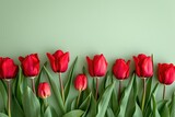 Fototapeta Tulipany - Beautiful red tulip border at light green background, springtime flowers.