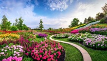 Landscaped Flower Garden