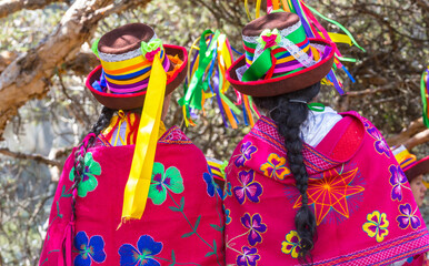 Wall Mural - Dance in Peru