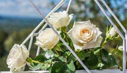 Wall Mural - floral polygonal geometric frame on transperent background bouquets of white roses for invitation greeting wedding card