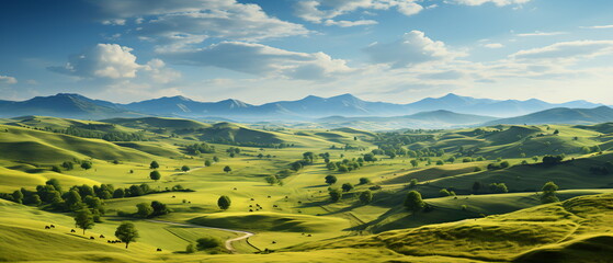 Canvas Print - field of grass and perfect sky