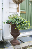 Fototapeta  - Ivy display in rusty large urn outside a house