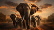 Elephant Gathering. A small group of elephants gather at a waterhole on a summer's day under threatening skies.