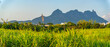 © robertharding - View of farmland and mountains near Quatre Bornes, Mauritius