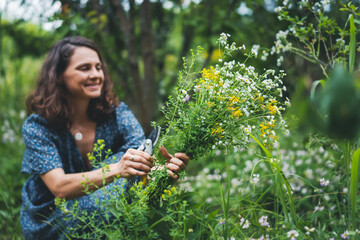 Wall Mural - Woman cutting wild flowers in the summer garden. Summer fragrant herbs for health care