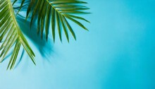 Tropical Palm Leaves With Shadow On Blue Background Minimal Nature Summer Styled Flat Lay Free Copy Space For Text