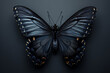 Schwarzer Schmetterling, Anthrazitgrauer Hintergrund
