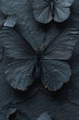 Schwarzer Schmetterling, Anthrazitgrauer Hintergrund