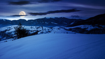 Wall Mural - mountainous rural landscape at night. snow covered hills of alpine highlands in full moon light