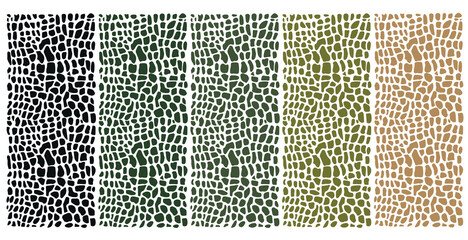 Set of colorful reptile skin backgrounds. Animal print texture.