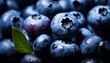 © Aliaksandra - Fresh organic blueberries close up macro shot of ripe summer berries on a vibrant background