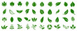 © dlyastokiv - Leaf icons set ecology nature element, green leafs, environment and nature eco sign. Leaves on white background – for stock