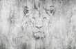 Beautiful lion head with tropical leaves in the background. Illustration for wallpaper, decoration, poster, card. Mural.