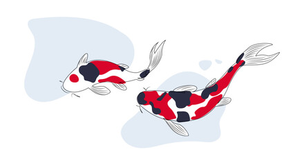 Wall Mural - Two Japanese colorful koi carp fish top view on a white background in abstract linear drawing style. Hand drawn outline Koi fish vector design line art illustration.
