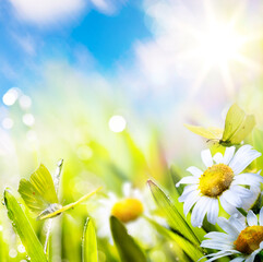 Aufkleber - art Easter spring background with flower meadow with white spring flowers and yellow butterflies on a sunny day. Easter morning