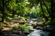 A serene river winding through the lush greenery of the Texas Hill Country, offering a peaceful escape into nature.