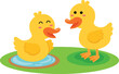 illustration of duck white on background vector