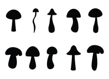 Mushroom Vector Design Illustration Isolated On White Background