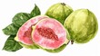 ripe juicy guava whole and its half