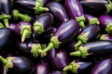 Wall Mural - Close Up View of Fresh Eggplants - Heap of Colorful Aubergine on Black Background for Cooking