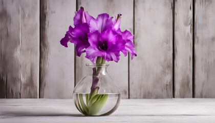 Wall Mural - purple gladiolus in round glass vase on old rustic white wooden background. 