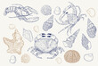 Illustrations Vecteur Coquillages et crustacés