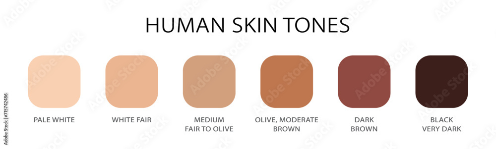 Human Skin Names Human skin tone set of six with names. Skin types rounded square tones ...