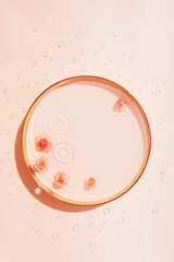 Wall Mural - Round podium with water and flowers on pink background with drops. Empty round plate with water drops and roses, copy space. Spring cosmetic concept