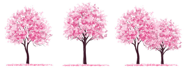 Wall Mural - vertor set of spring blossom tree,bloomimg plants side view for landscape elevation and section,eco 