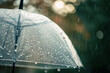© barmaleeva - Closeup on transparent umbrella in heavy rain. Generative AI