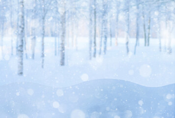 Wall Mural - Winter background. Winter snowy blurred background. Template for design and greeting cards.