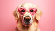 happy cute dog with a heart shaped sunglasses for valentine day, birthday or anniversary, on a pink background	
