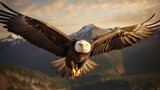 Fototapeta  - American bald eagle in flight