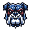 brave animal bulldog head face mascot design vector illustration, logo template isolated on white background