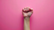 Solidarity in Simplicity: Single Raised Fist - Women's Day
