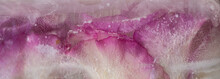 Pink Rose Petals Background Frozen In Ice Water