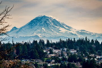 Wall Mural - Burien Mountain And Homes 3