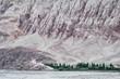 Nubra Valley, Ladakh, Northern India