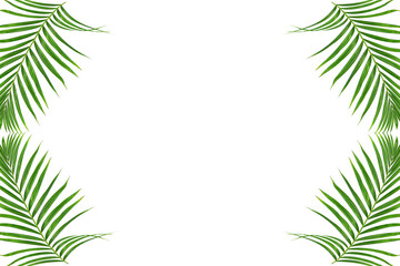 Wall Mural - Green Leaves Border or Frame with white background,