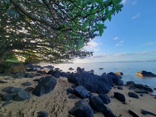 Poster - A Hawaiian beach 