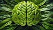 Green brain on leaves. The concept of the mind united with nature, the theme of ecology, vegetarianism

