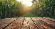 Wooden Floor In A Sugar Cane Field With A Backdrop Of Nature, Agriculture, And Products On Display, Generative AI.