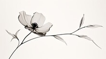 Elegant Minimalist Art Of Delicate Flower With Thin Branch And Leaves Against Soft White Background