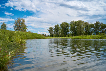 Wall Mural - A clean, calm river in the forest on a beautiful sunny summer day.