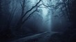 Enigmatic shadowy woods enveloped in fog on a spooky Halloween night, featuring a foreboding landscape with eerie trees.