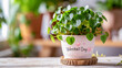 A lovely evergreen plant with heart-shaped leaves growing in a beautiful flower pot is a wonderful, environmentally friendly and long-term gift for Valentine's Day. Copy Space