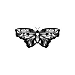 Sticker - Hand drawn Butterfly isolated on white background